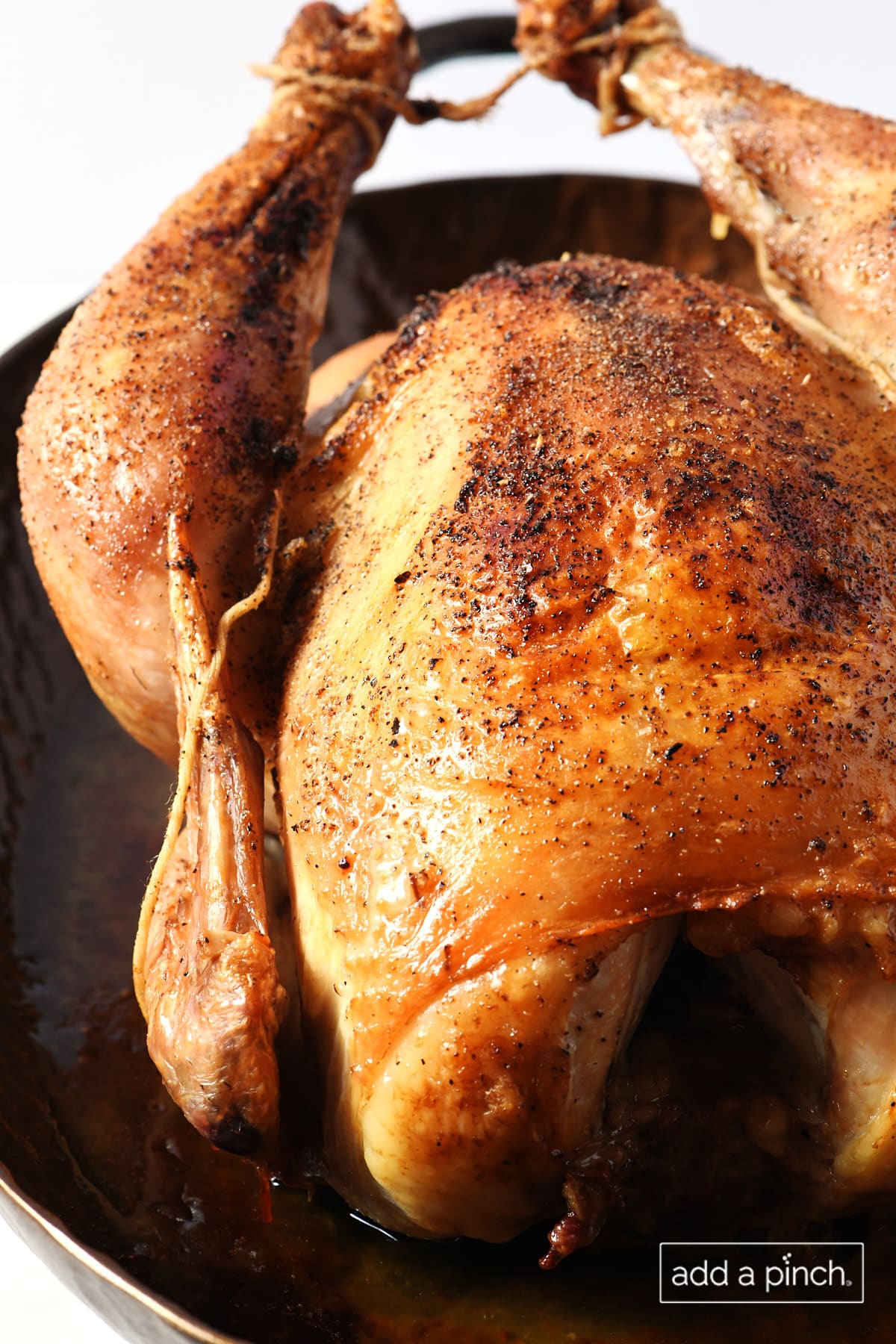 Trussed and seasoned whole roasted chicken in a baking pan.