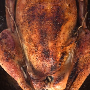 Golden roast chicken in a roasting pan.