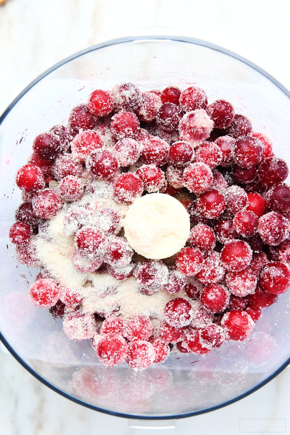 Cranberries and sugar in a food processor.