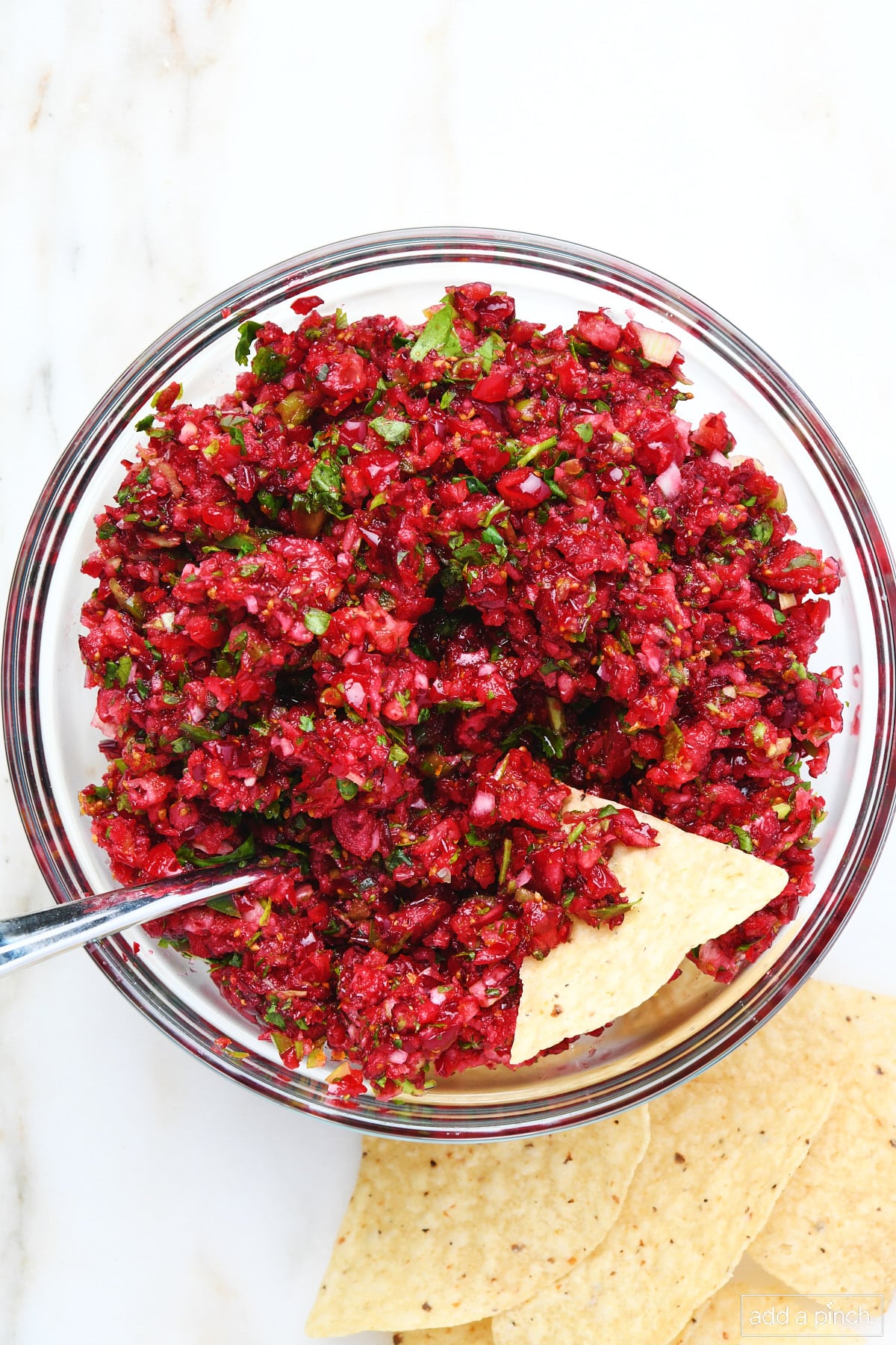 Glass bowl of cranberry salsa with a spoon and a tortilla chip for dipping.