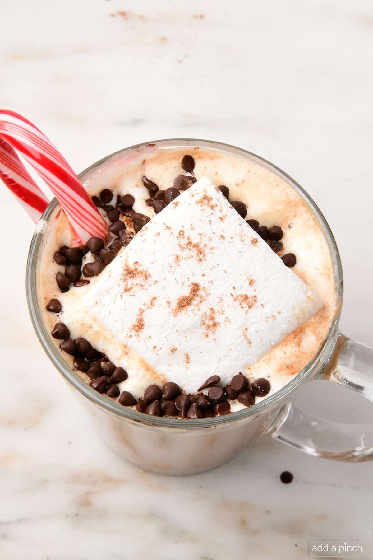 Hot cocoa mug topped with marshmallow, mini chocolate chips, a sprinkle of cocoa powder, and a peppermint stick.