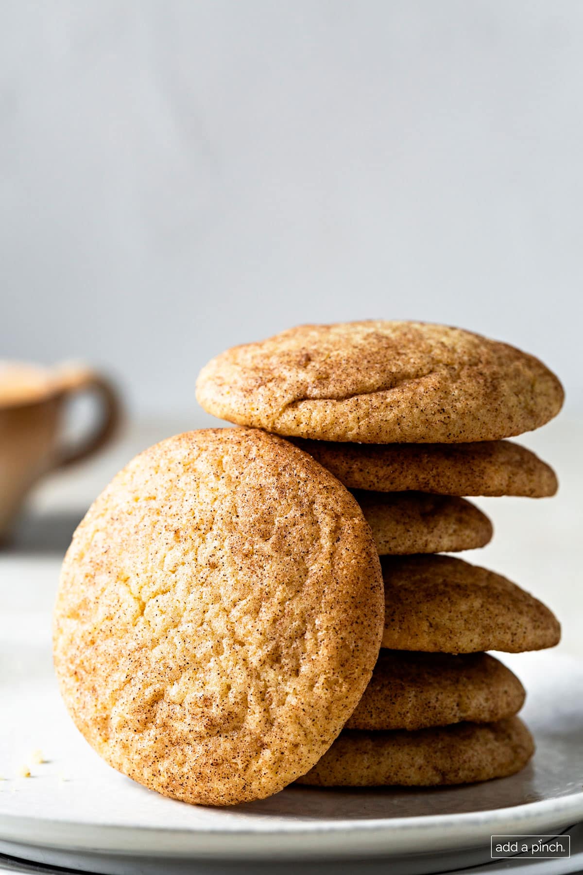 Stack of snickerdoodle cookies on a white plate.