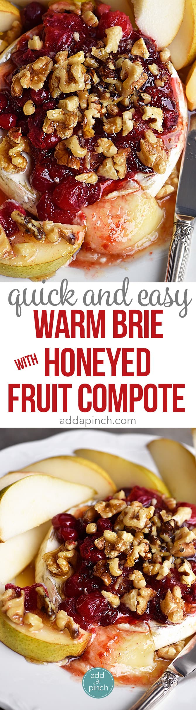 Warm Brie with Honeyed Fruit Compote makes a beautiful, quick and easy appetizer. Made with a honeyed cranberry walnut fruit compote, this baked brie recipe is festive for the holidays! // addapinch.com